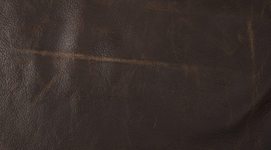 Vista Luggage