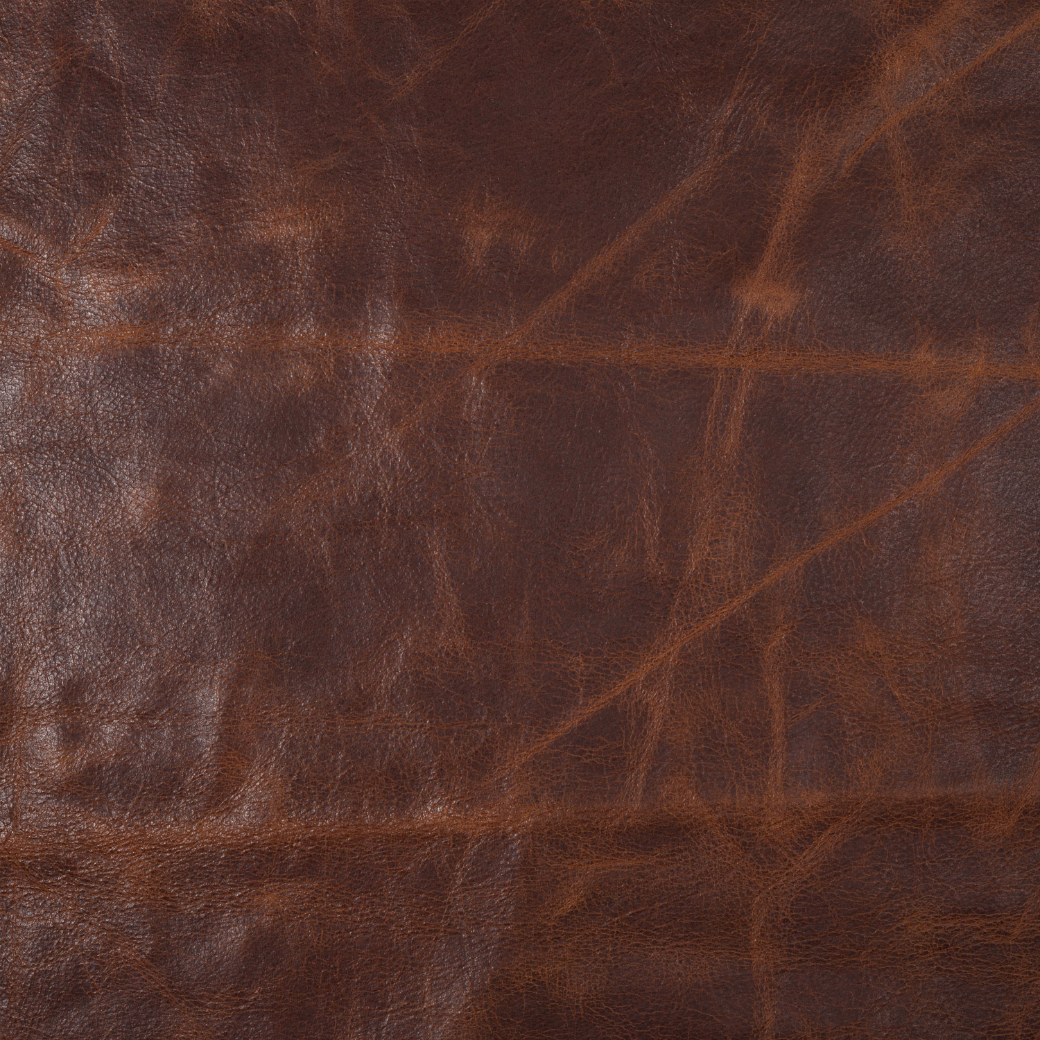 EDSIM Leather | VISTA